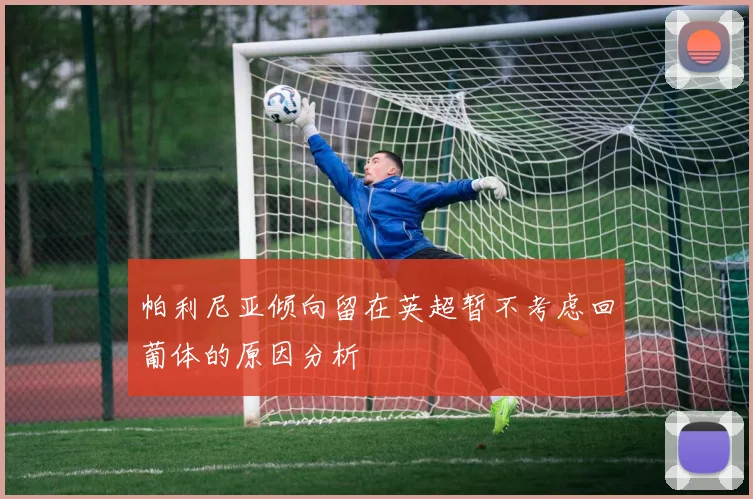 帕利尼亚倾向留在英超暂不考虑回葡体的原因分析